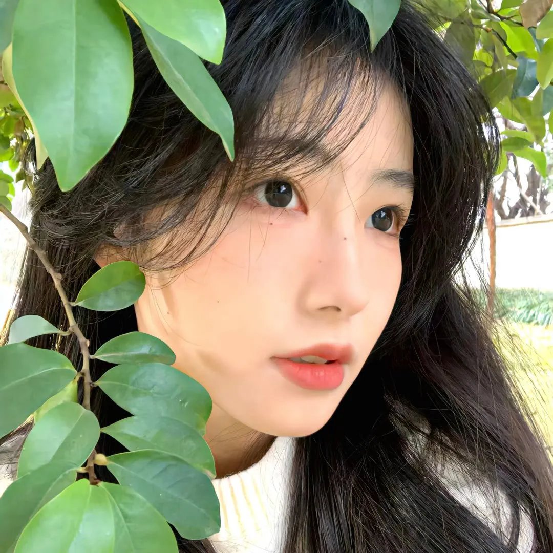 女生日记之做决定事务所